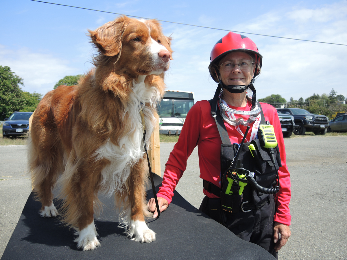 Valerie Berben, maître-chien des chiens de recherche et de catastrophe de l'île de Vancouver, et Mia, Nova Scotia Duck Trolling Retriever, font une pause lors d'un exercice de formation MUSAR à Work Point. Photo : Peter Mallett/Lookout : Peter Mallett/Lookout