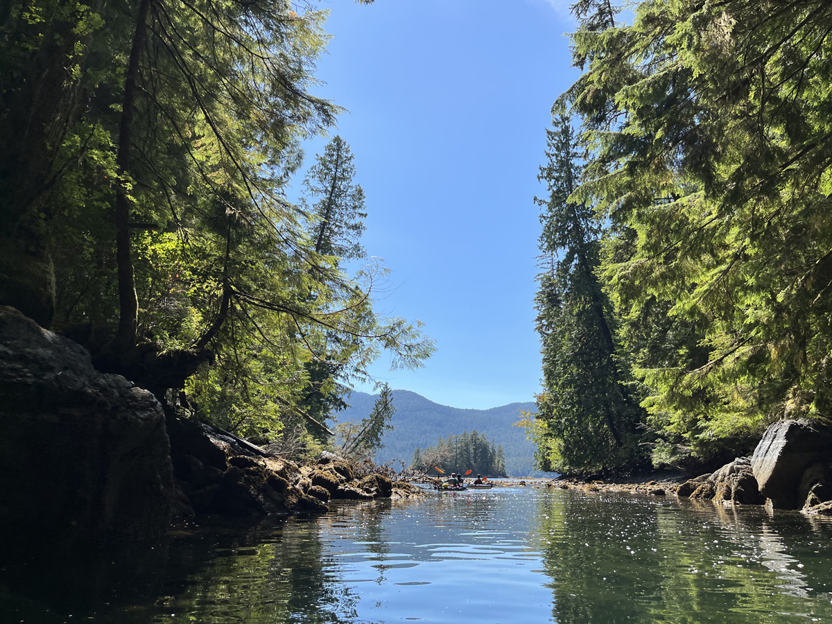 Scholarship winners explore the wilderness of Biosphere Reserve near Clayoquot, Vancouver Island. Photos supplied.